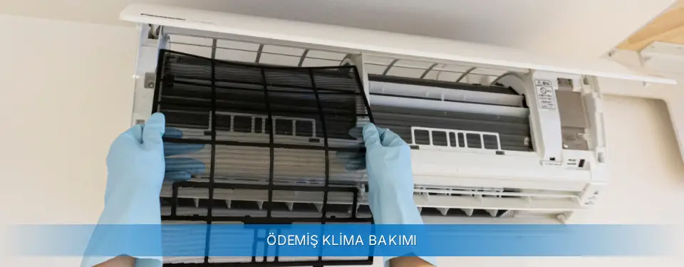 Ödemiş İlçemi Carrier Klima Bakımı