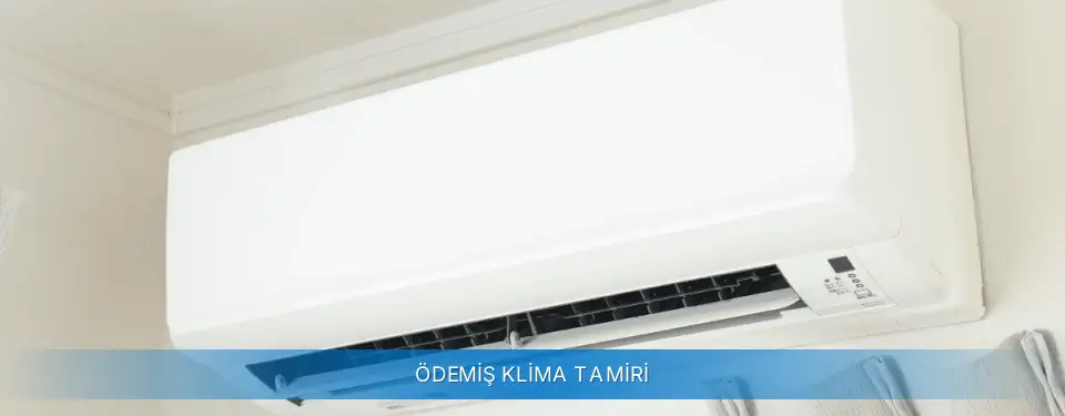 Ödemiş İlçemi Carrier Klima Tamiri