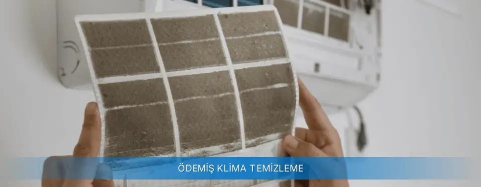 Ödemiş İlçemi Carrier Klima Temizleme